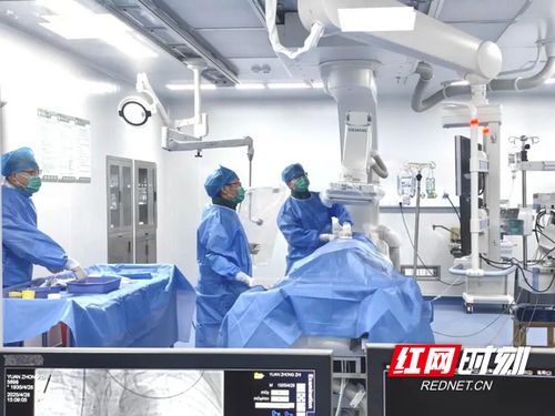 汝城縣人民醫院獲評心血管疾病防治技術牽頭單位，引領區域健康服務新篇章